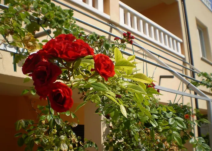 Apartament Tare, Electric Car Refill *